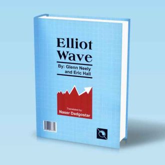 استادی در تئوری موجی الیوت گلن نیلی ناصر دادگستر پشت جلد کتاب