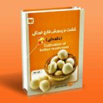 کشت و پرورش قارچ خوراکی دکمه ای