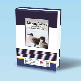 کتاب موج سازی راهنمای تصویری در اصول امواج الیوت - کارل بالدوین - پژمان مرادی