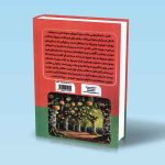 داستان هایی جالب برای آموزش سواد مالی به بچه ها رینی ویل مجید هدایتی فر پشت جلد کتاب