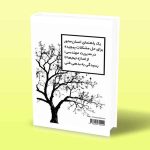 معمای زیبا-سیستم های مدیریت مهندسی-ویل لارسون-مهرداد اسماعیل پور پشت جلد کتاب