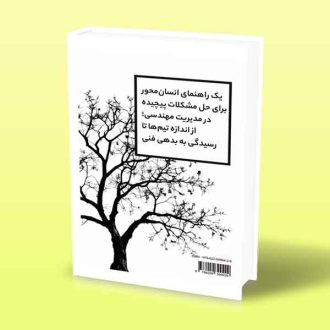 معمای زیبا-سیستم های مدیریت مهندسی-ویل لارسون-مهرداد اسماعیل پور پشت جلد کتاب