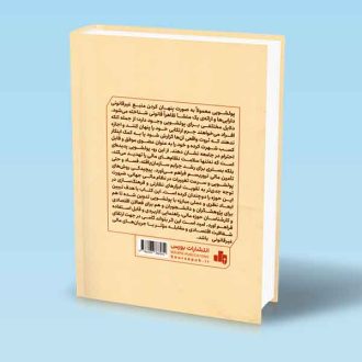 تجزیه و تحلیل ریسک پولشویی نوئمی تامبه بیرپارک دکتر سید بابک ابراهیمی